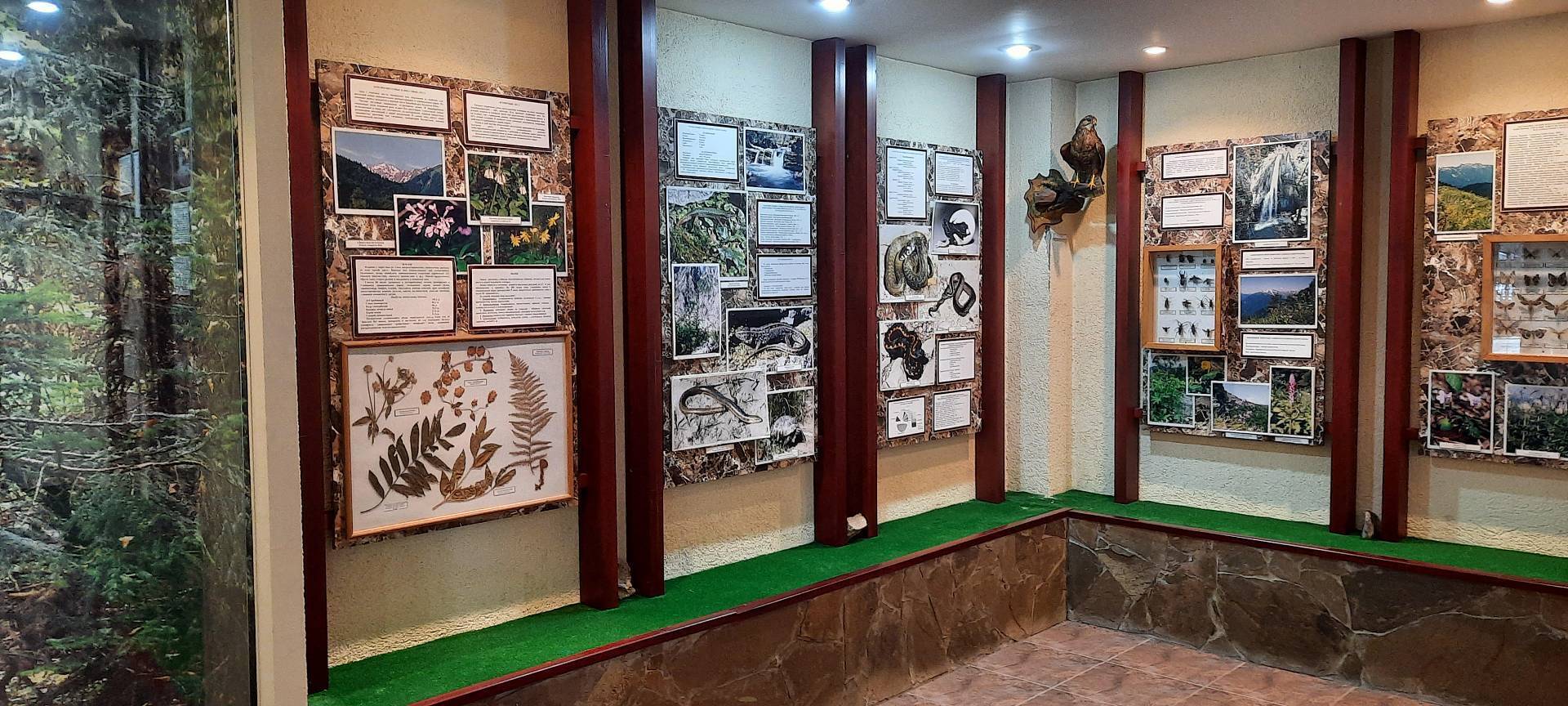 Музей Природы Сочинского национального парка. Фото: npsochi.ru