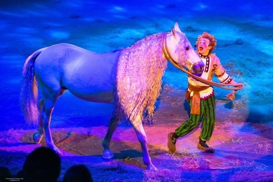 Программа «Конек-горбунок». Фото: официальная группа трио ВКонтакте (https://vk.com/bz_nskv)