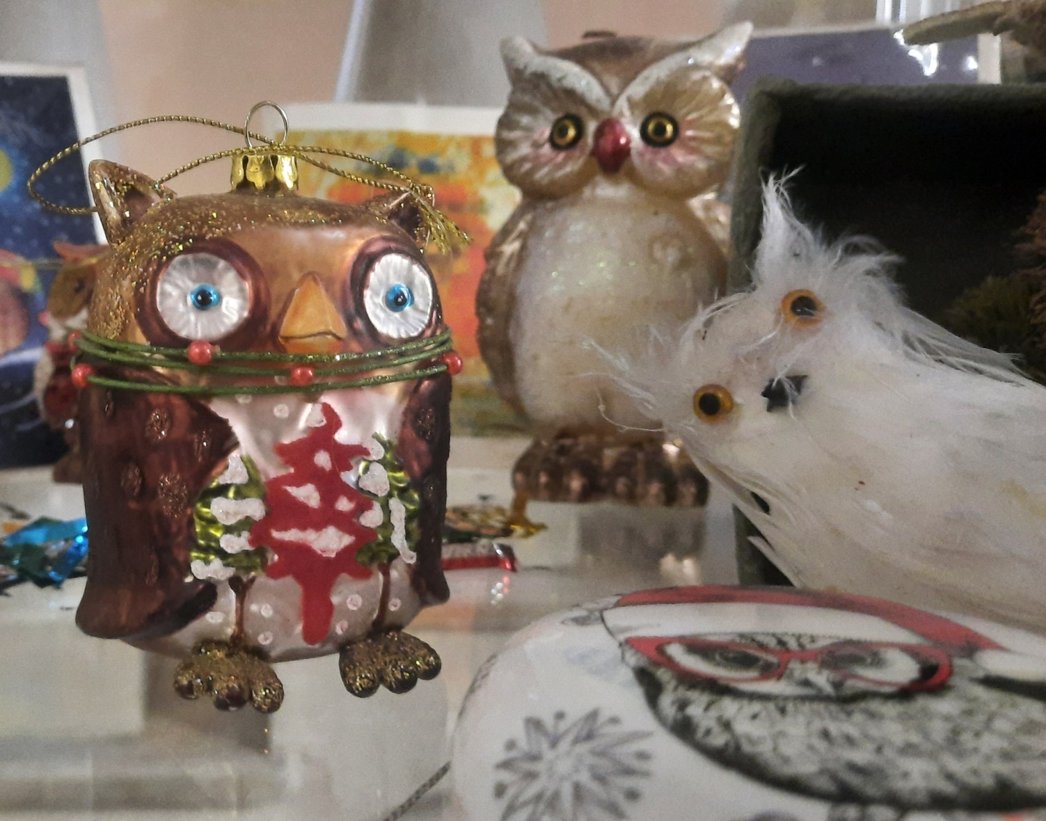 Музейный совятник