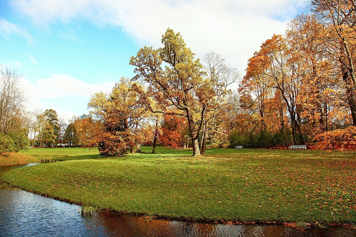 Фото: Wikimedia Commons.