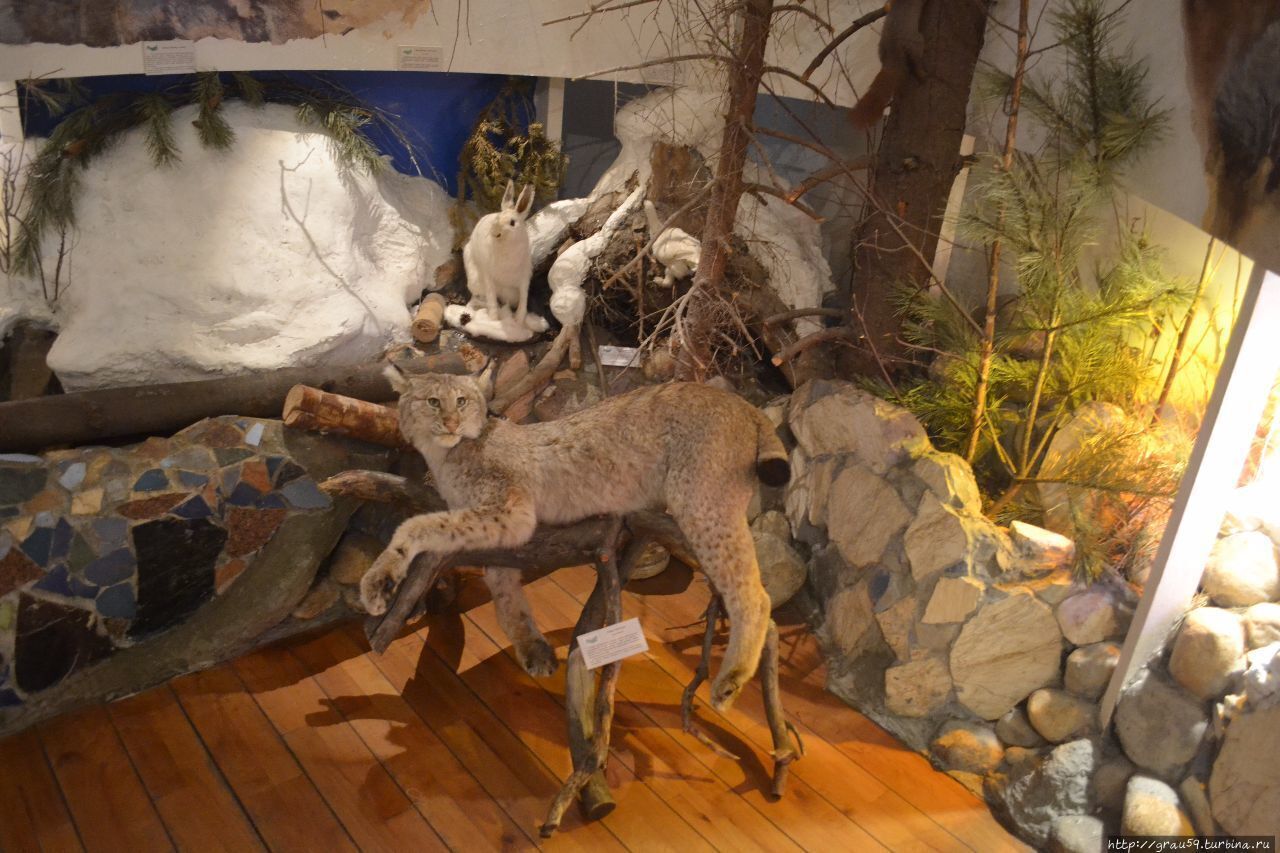 Фото: culttourism.ru