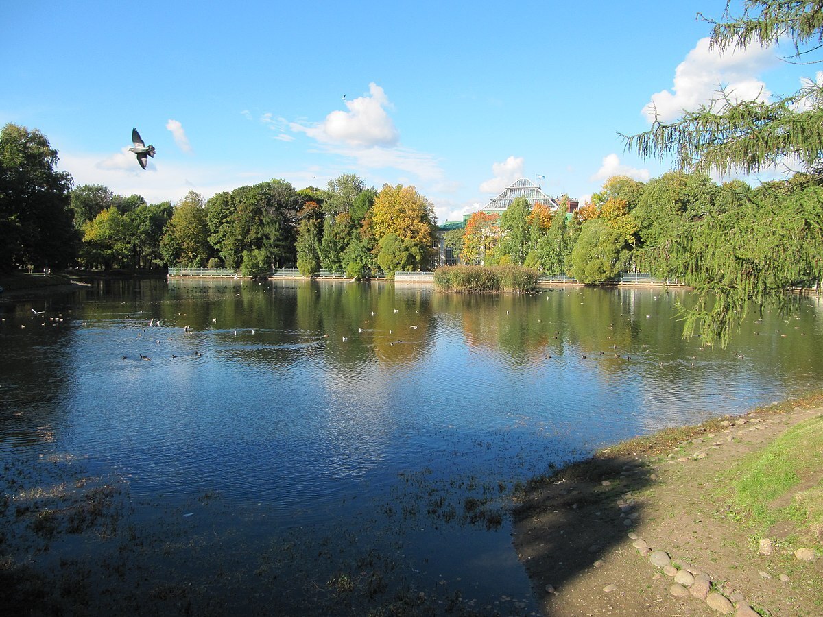 Фото: Wikimedia Commons.