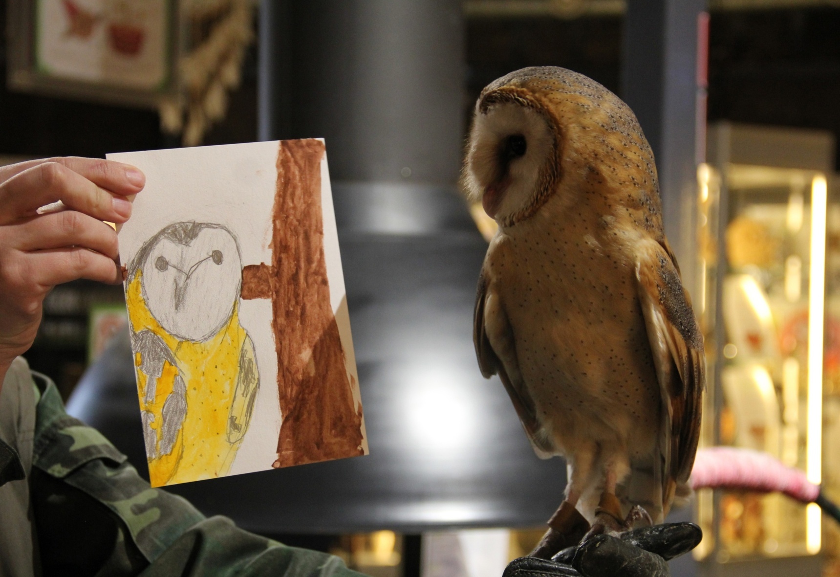 Мастер-класс по анималистике. Фото: официальная группа музея ВКонтакте