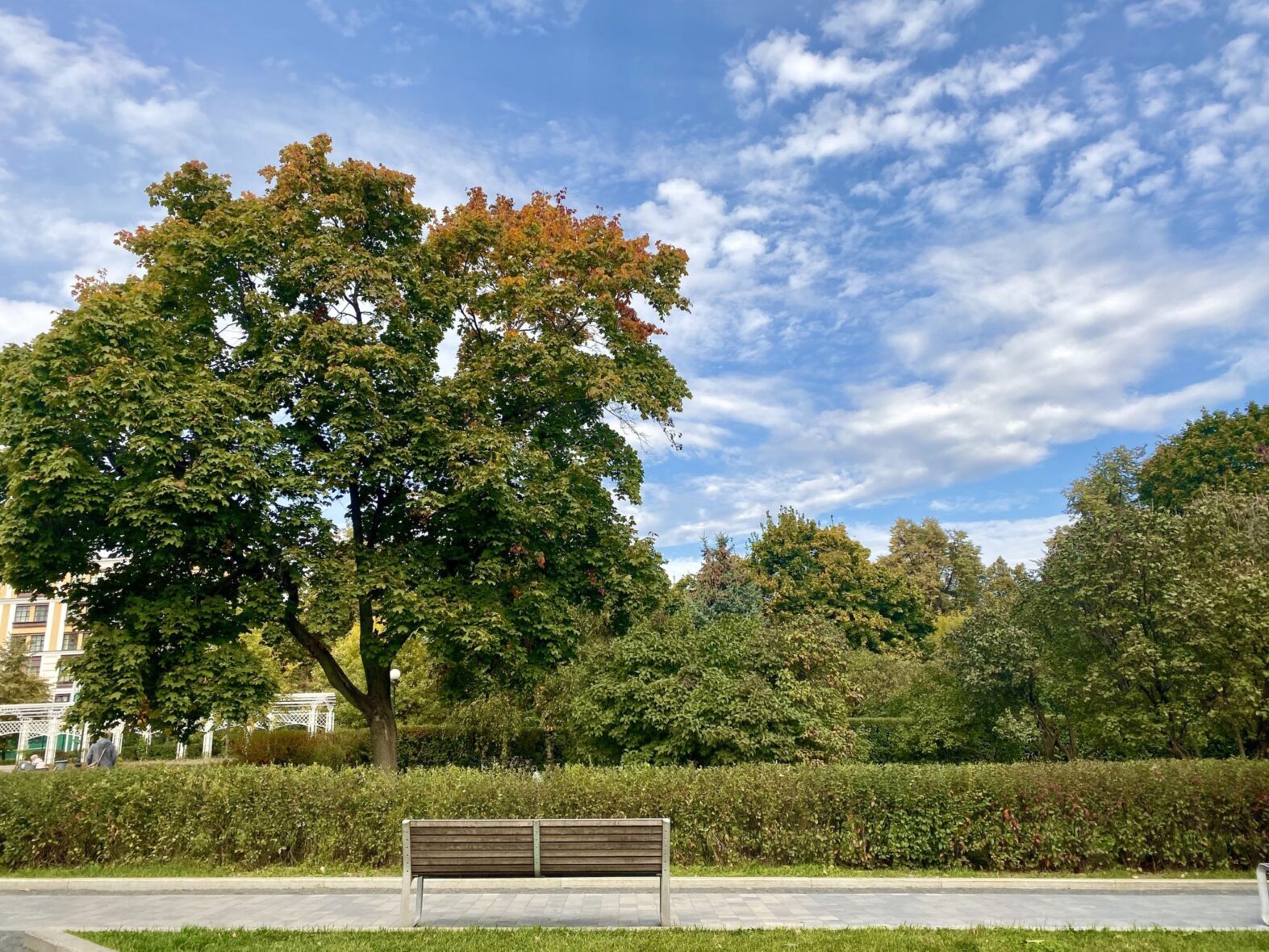 Фото: vao-moscow.ru