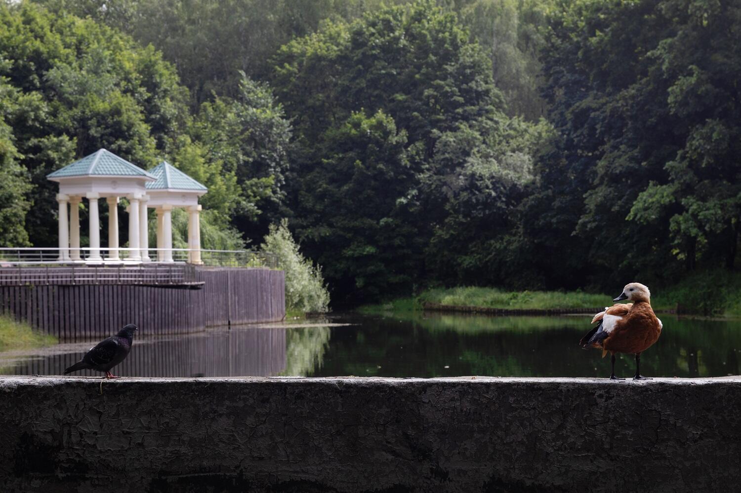 Фото: tsaritsyno-museum.ru