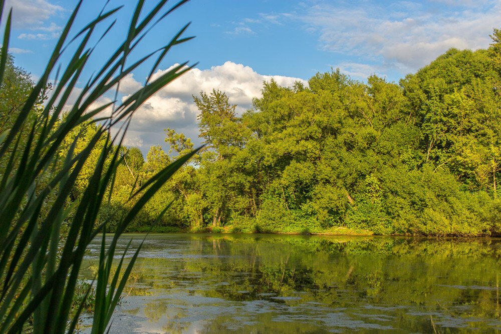 Фото: troparevo-park.ru