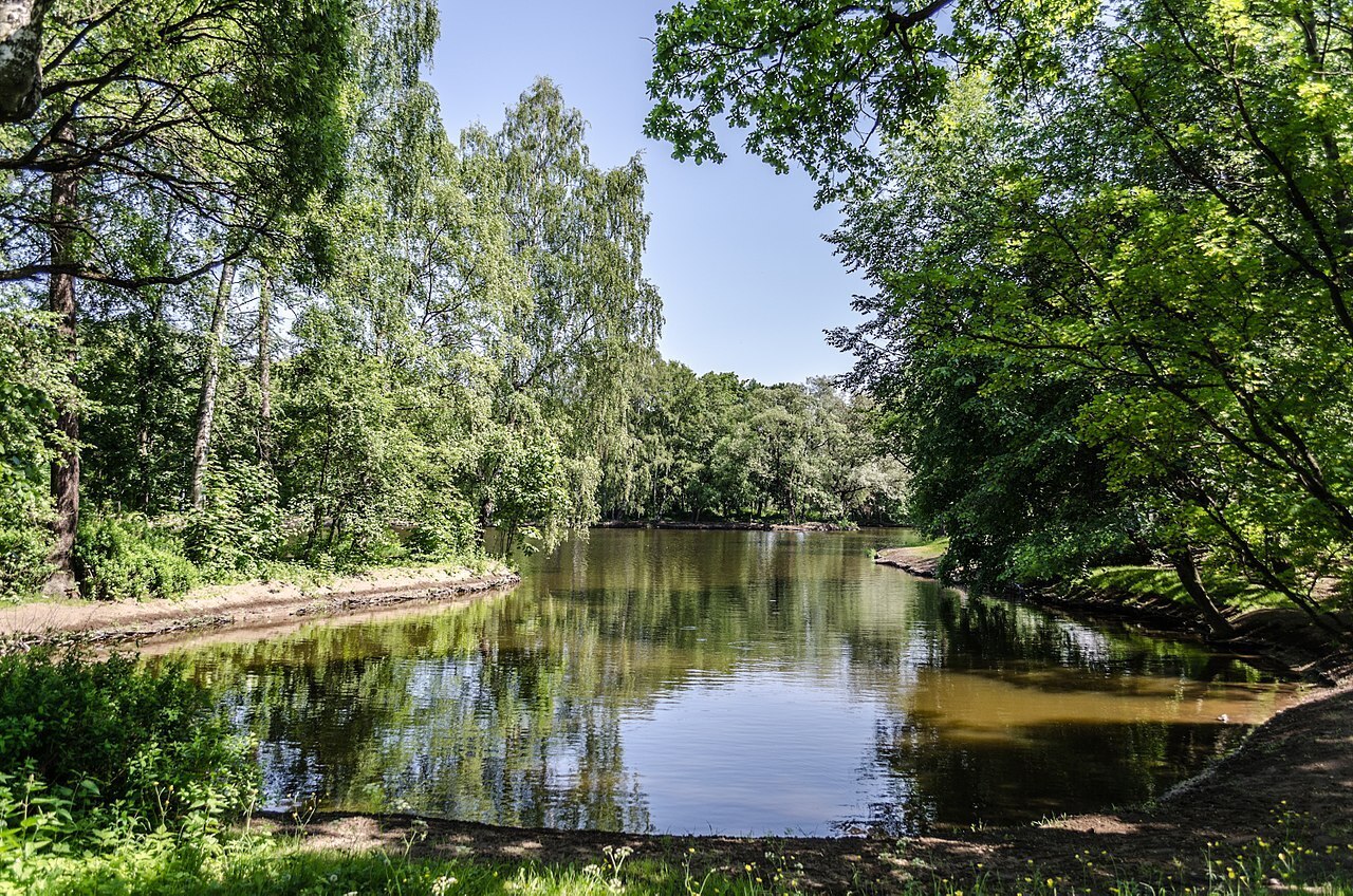 Фото: Wikimedia Commons.