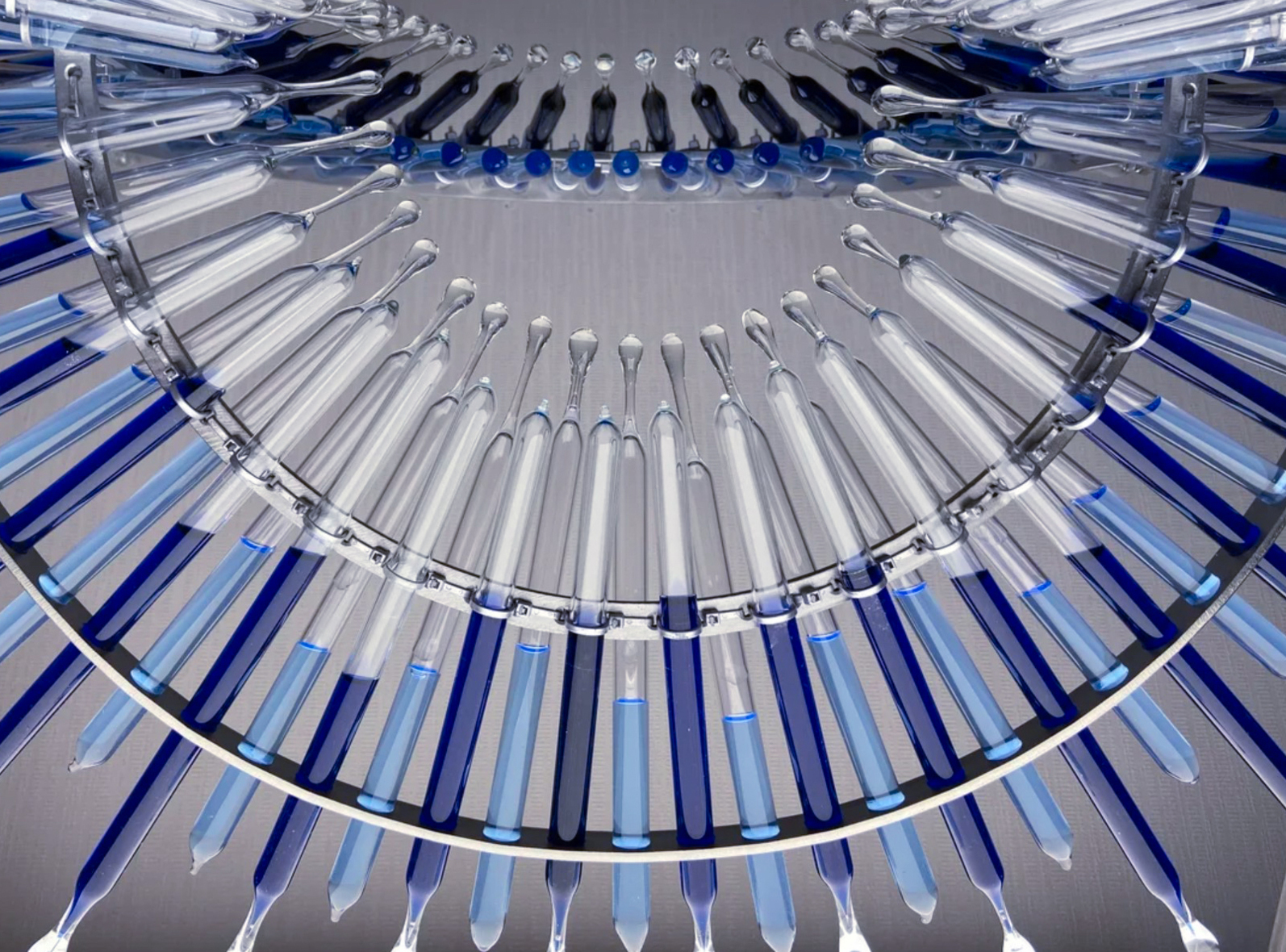 «Рутина жизни». Фото из личного архива Д. Платонова