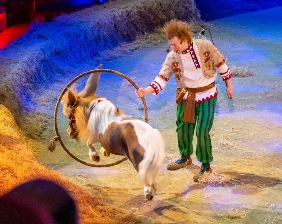 Программа «Конек-горбунок». Фото: официальная группа трио ВКонтакте (https://vk.com/bz_nskv)