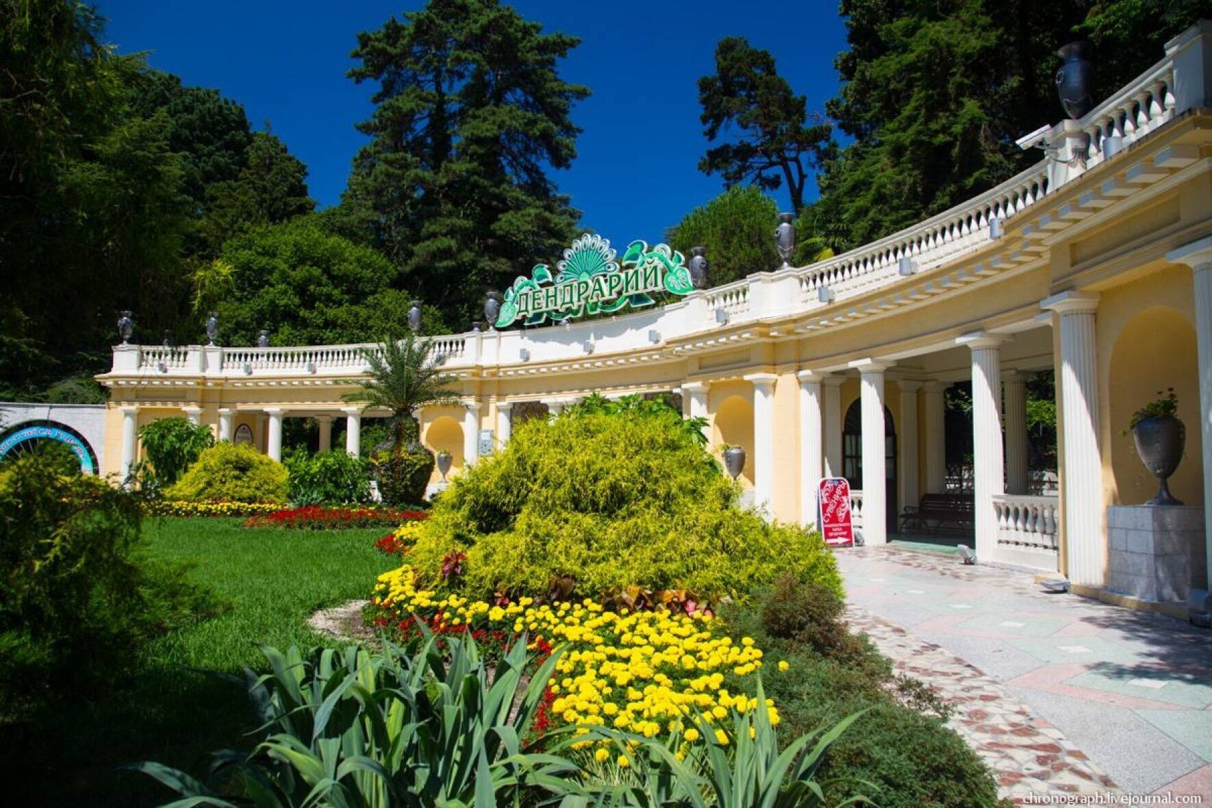 Сочинский Дендрарий. Фото: sunsochi.com